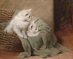 篮子里两只小猫