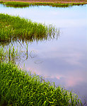 湿地风光