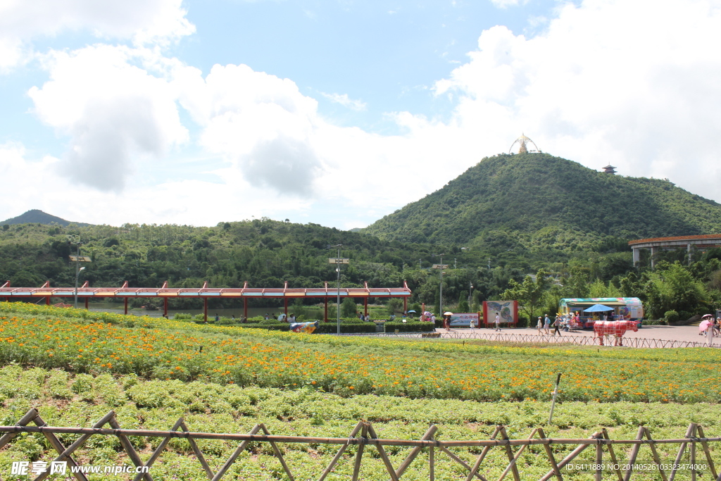 青山绿草