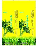芹菜盒