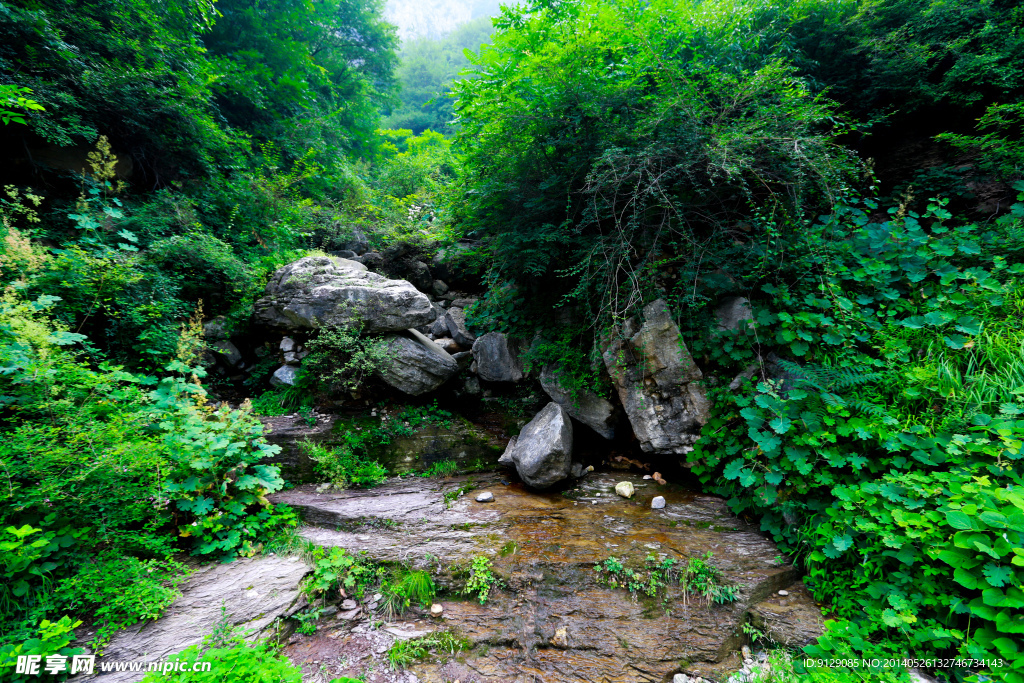 万仙山