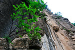 万仙山
