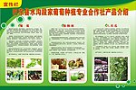 葡萄展板