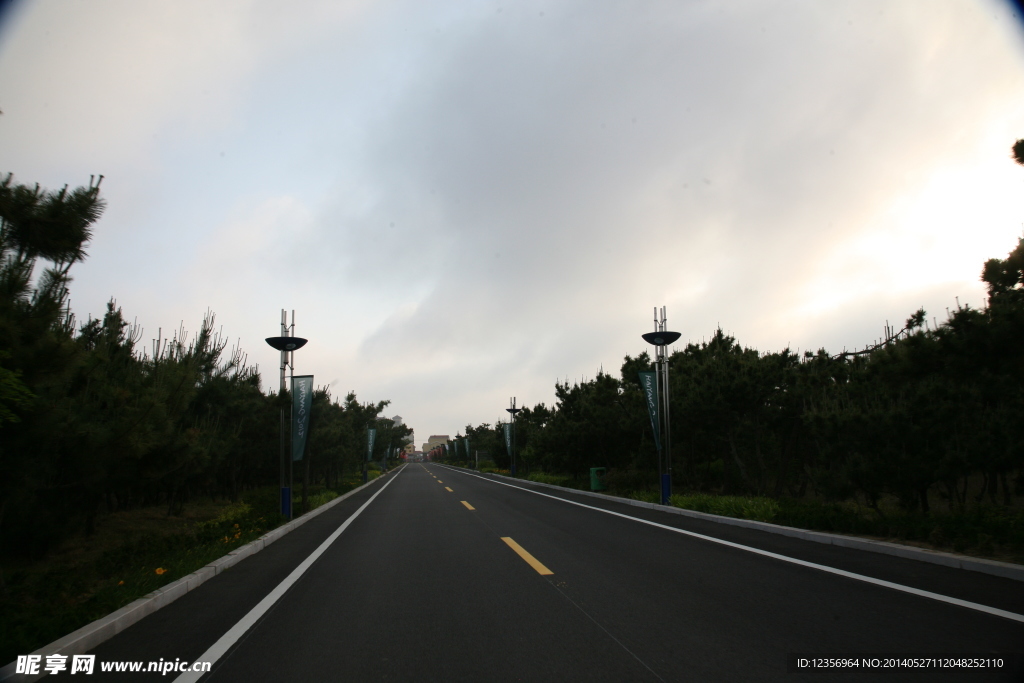 道路