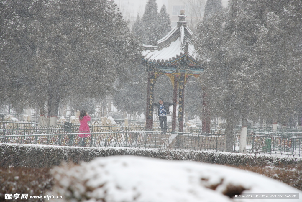 雪景