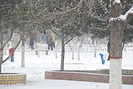 雪景