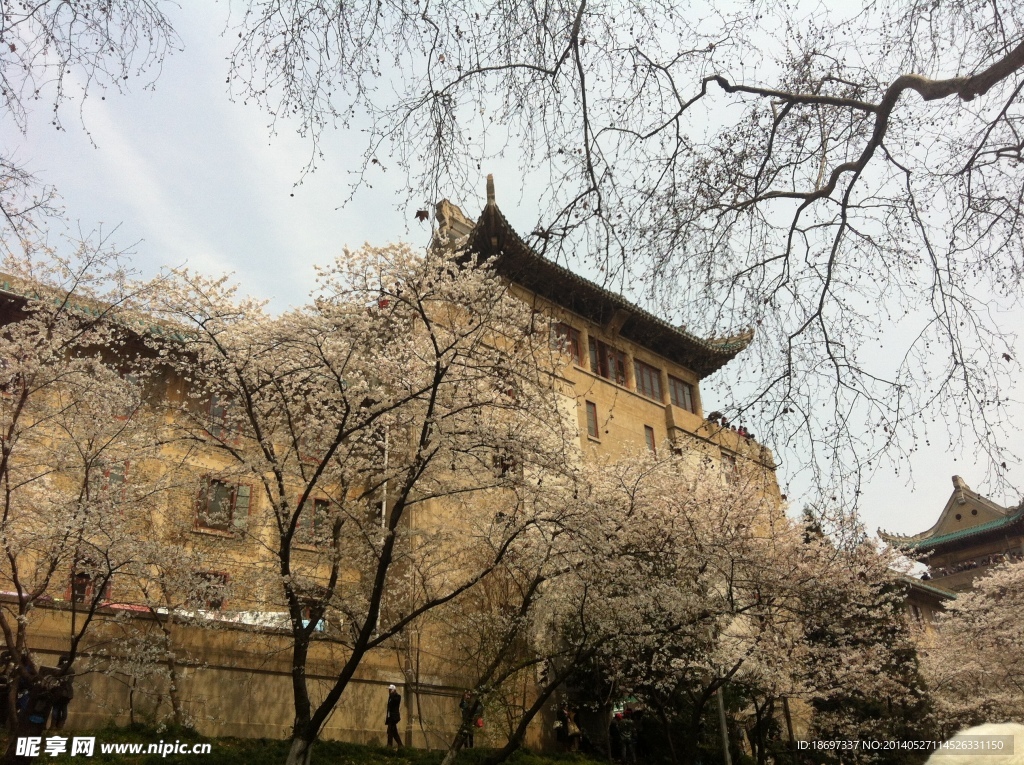 武汉大学