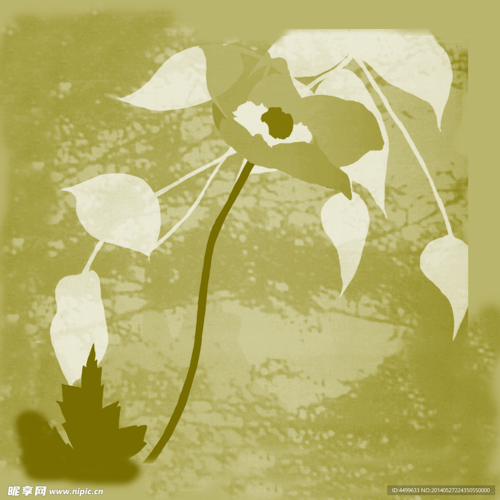 鲜花 装饰画