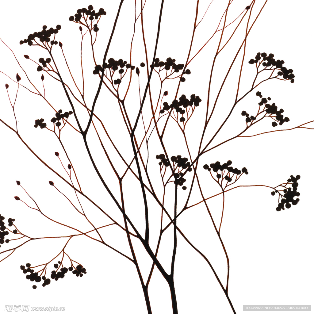 植物无框画