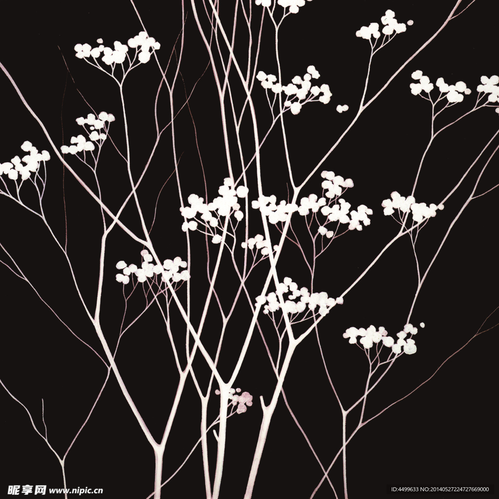 植物无框画