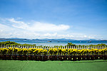 蜈支洲岛风光