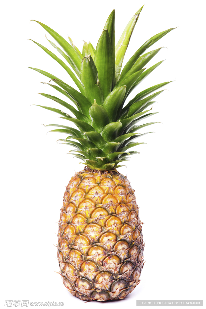 大菠萝