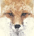 狐狸