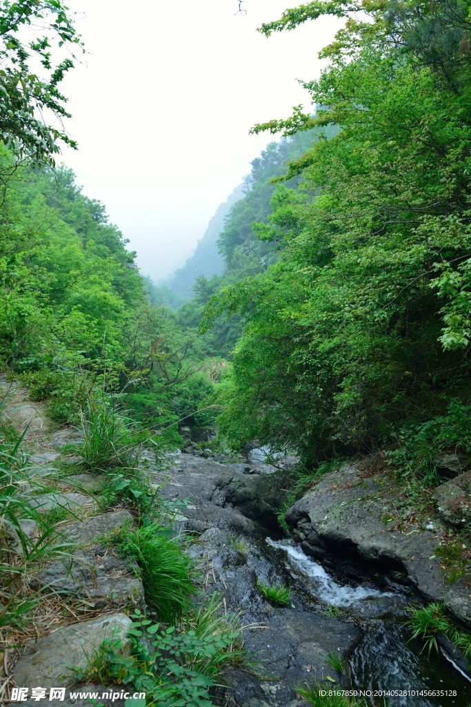 肖溪