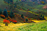 张掖风景山