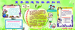 夏季肠道传染病知识