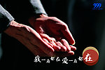 老人的手