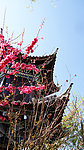 束河