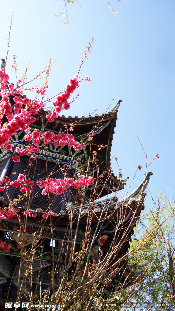 束河
