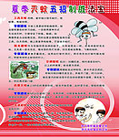 灭蚊常识