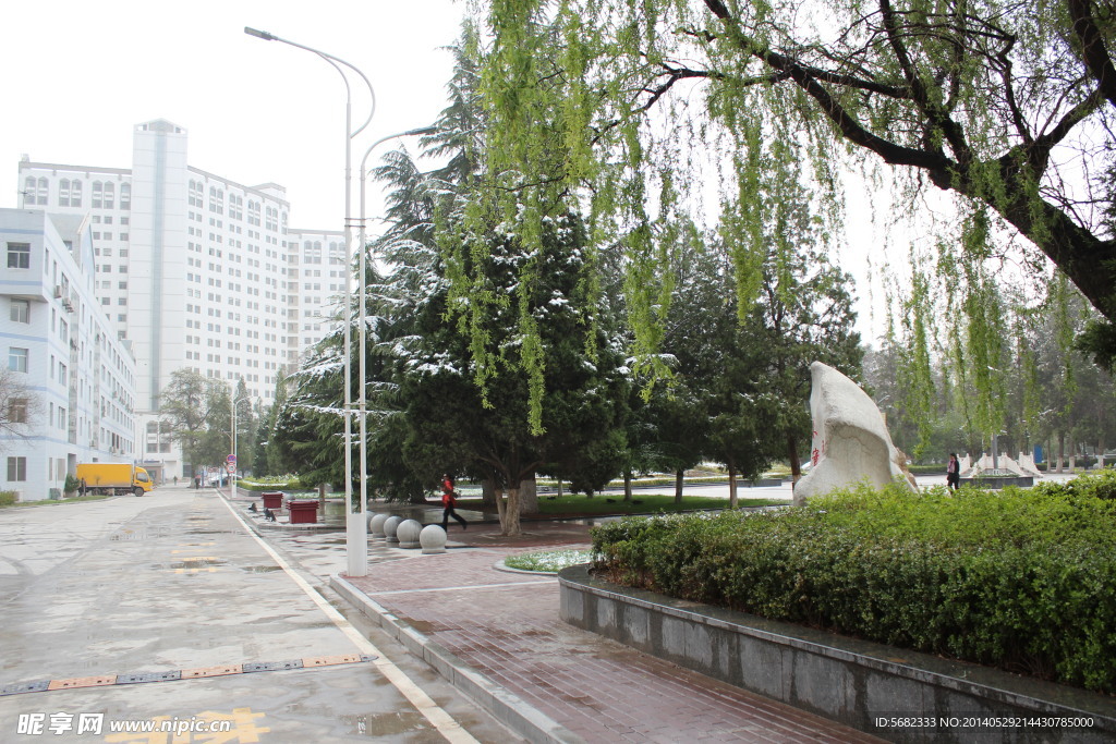 美丽校园