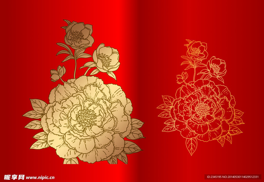牡丹花
