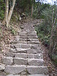 清风古道