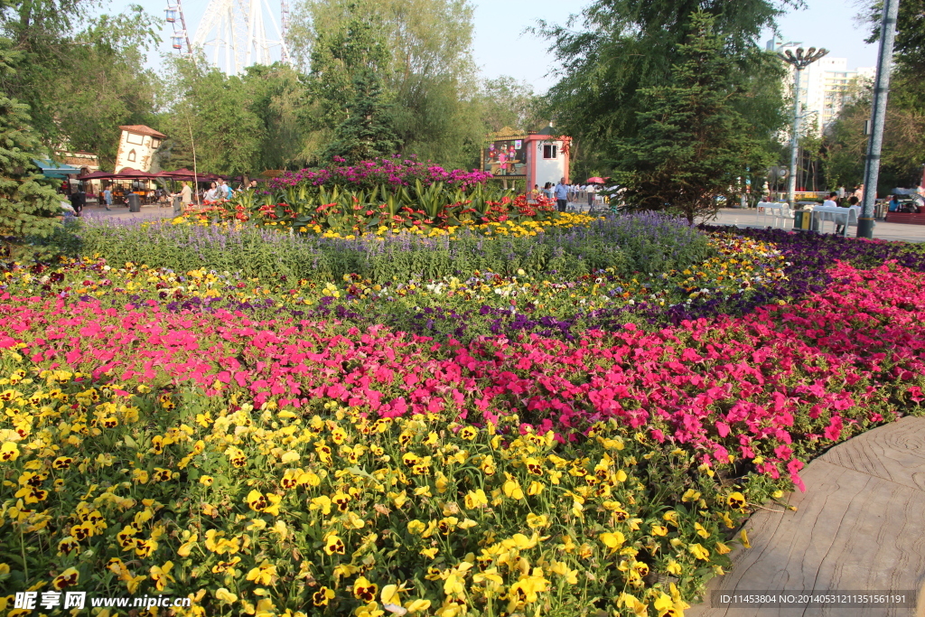 花坛