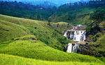 自然森林 山间流水