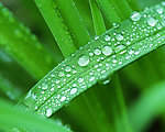雨后