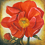 鲜花 无框画