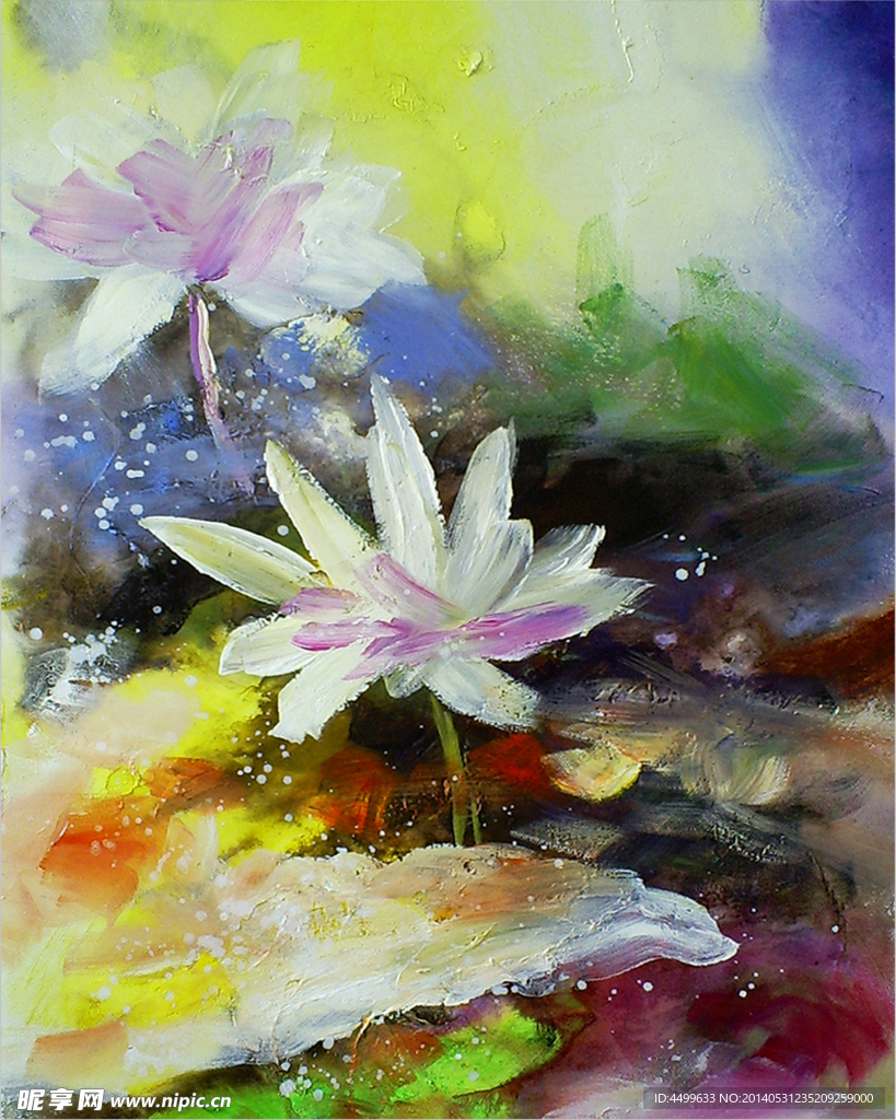 荷花