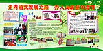 学校素质教育展板