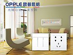 欧普开关 欧普电工