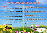 蜂花粉