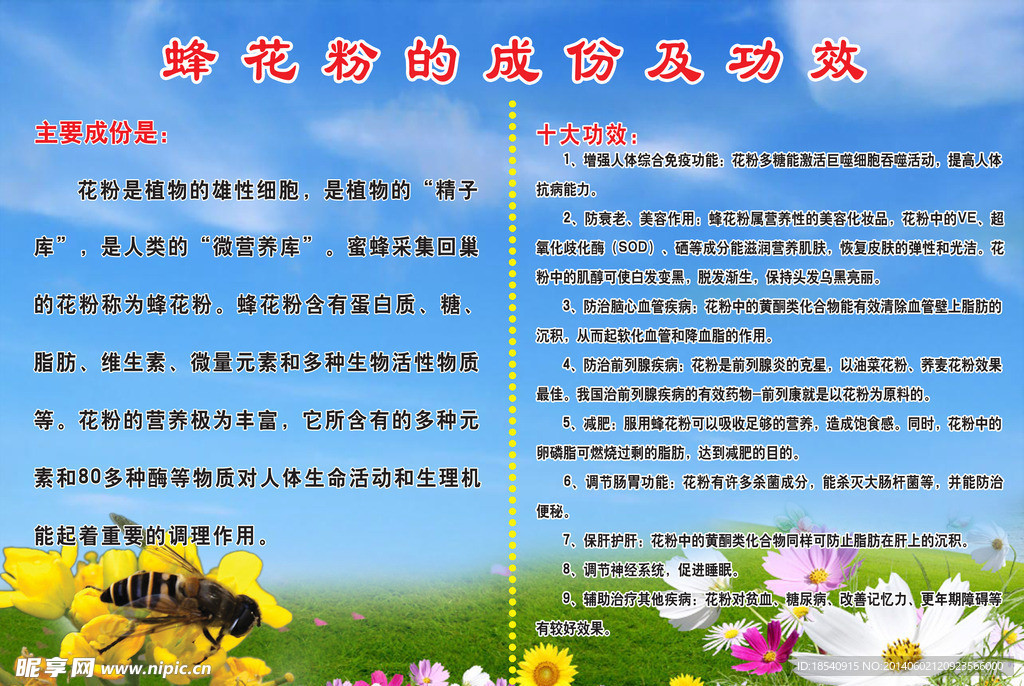 蜂花粉