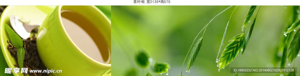 茶叶茶杯灯箱画01