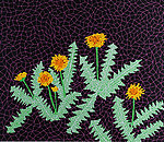 花卉绘画