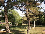 公园