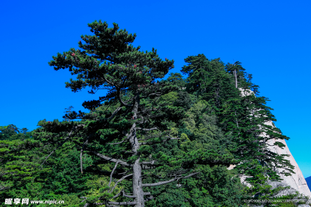 华山