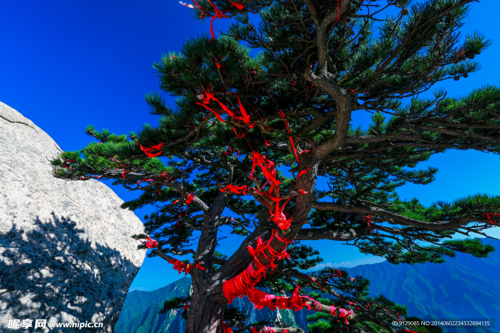 华山