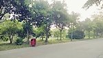 校园一角