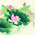 荷花图