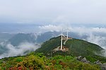 电厂 风电