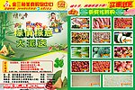 端午节超市海报
