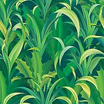 绿植植物