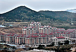 田村