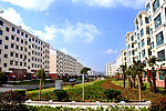 田村