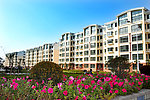 田村