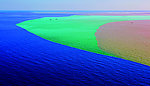 海河交汇